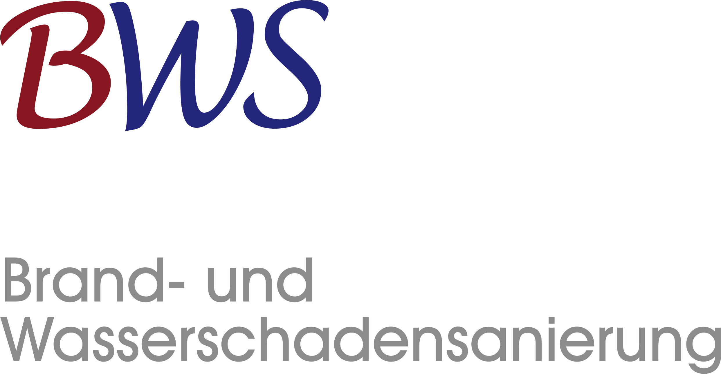 BWS Brand- und Wasserschadensanierung