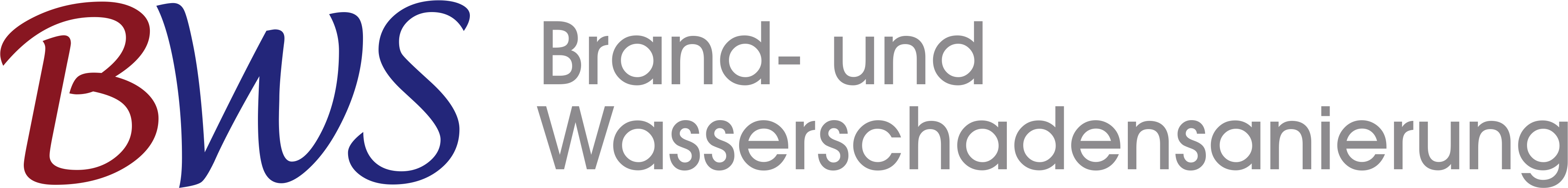 Logo BWS Brand- und Schadensaneirung
